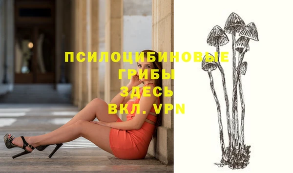 твердый Нижневартовск