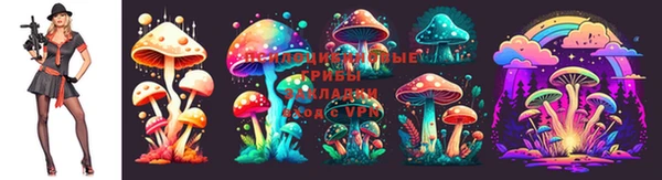 твердый Кукмор