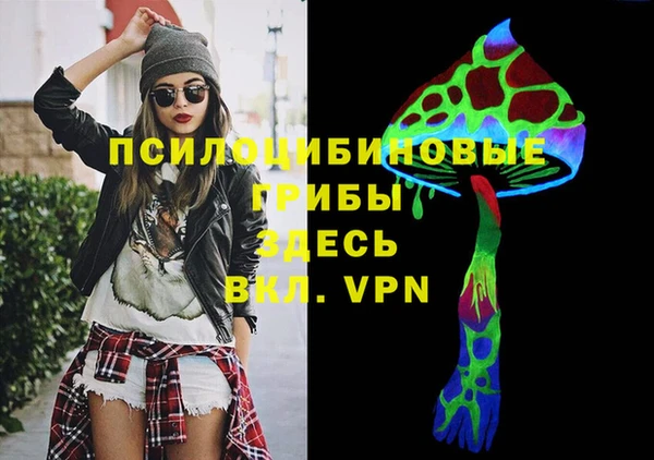 дживик Кострома