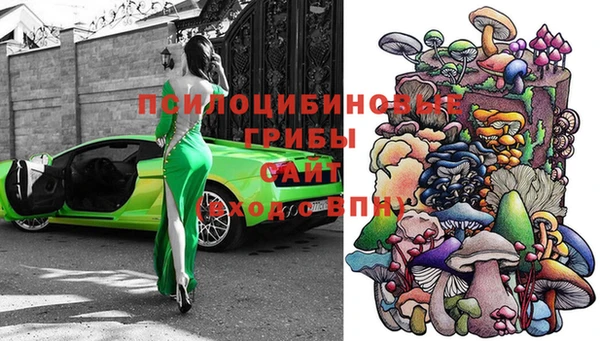 твердый Кукмор