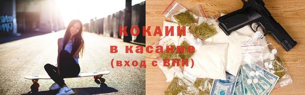 дживик Кострома
