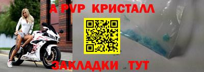 стафф Бийск