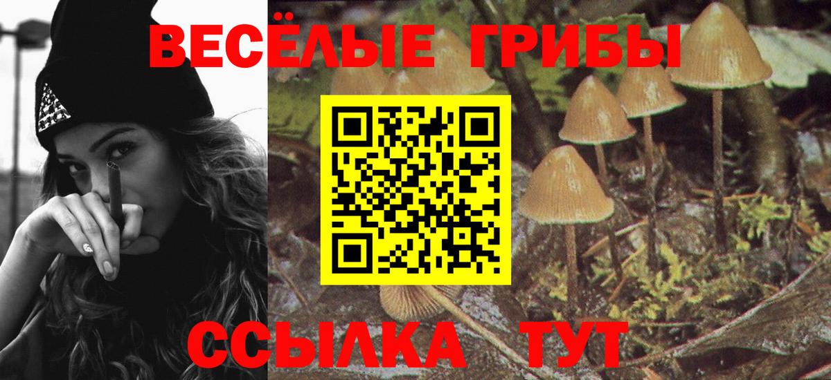 где найти наркотики  Вход с VPN  Галлюциногенные грибы ЛСД  Красноармейск  Галлюциногенные грибы MAGIC MUSHROOMS 