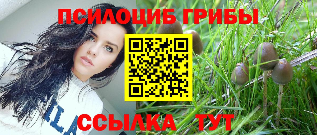 Галлюциногенные грибы прущие грибы Красноармейск